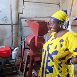 Senegalese Women Makes Inroads In Energy Markets
