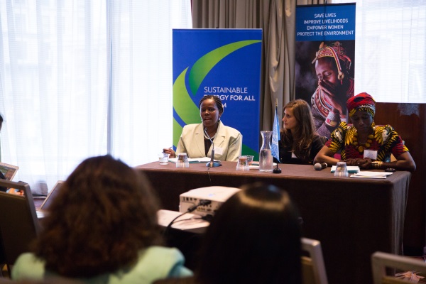 Gender Informed Business Model Panel