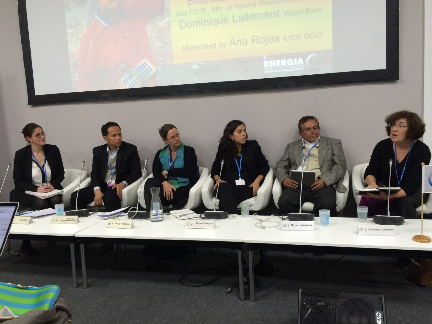 Gender Responsiveness to Increase Environmental Sustainability and Energy Access