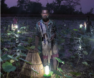 SE4ALL’s new strategic framework: Going further, faster – together