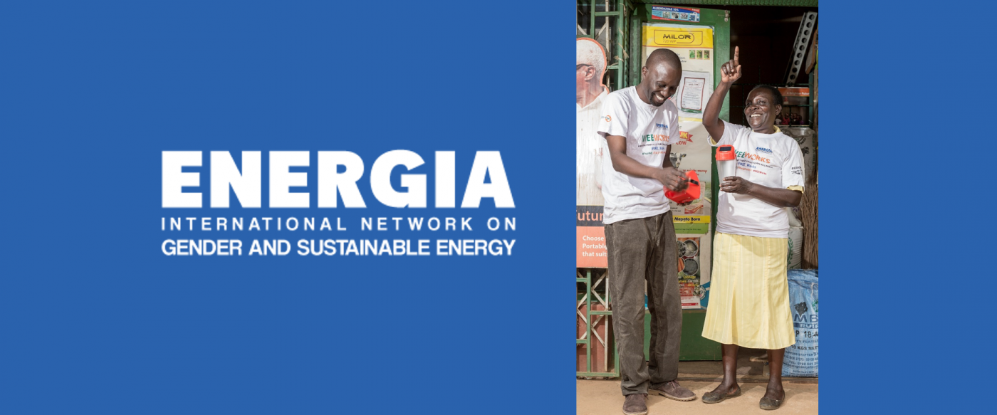ENERGIA is looking for a senior level Project Officer