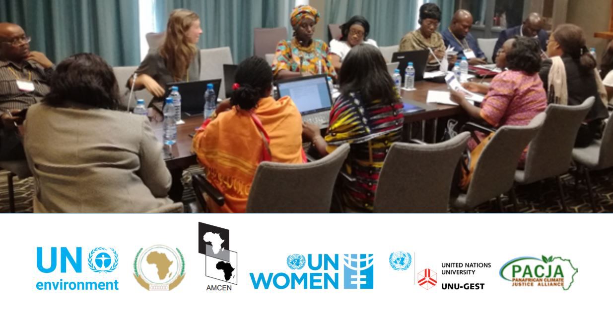 Insightful discussions on women entrepreneurs and sustainable energy held in Gabon