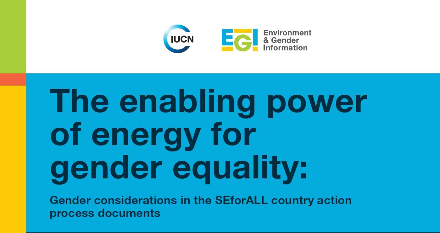 Gender considerations in the SEforALL country action plans