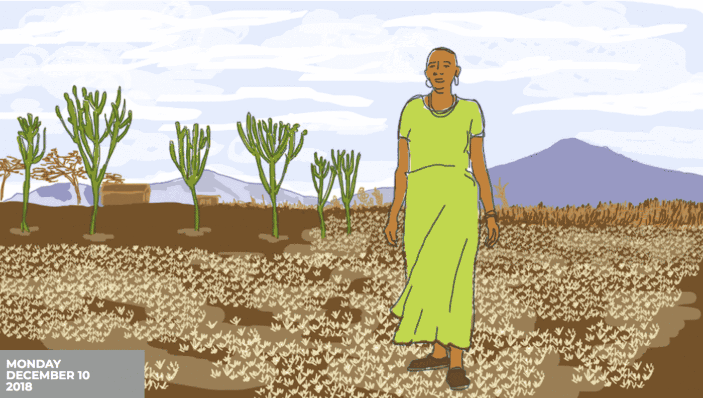 Power Problem in a Changing Climate: The Renewable Energy Movement is Shortchanging Women and the Poor
