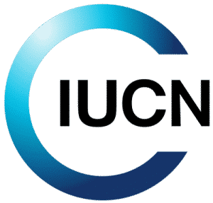 Vacancy: Communications Consultant – Call for applications
