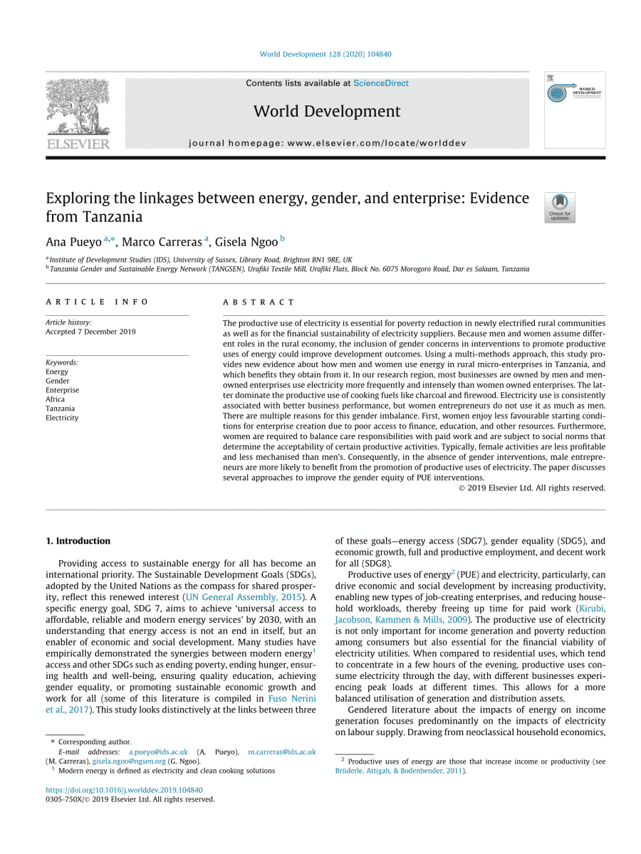Exploring the linkages between energy, gender, and enterprise: Evidence from Tanzania