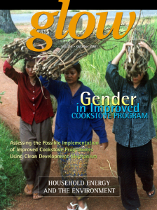 Gender in Improved Cookstove Program