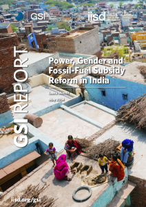 Power, Gender and Fossil – Fuel Subsidy Reform in India