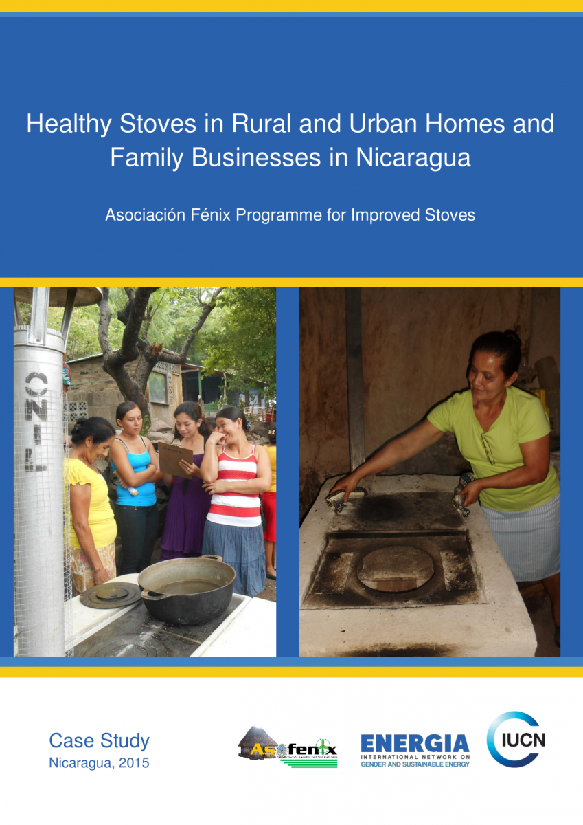 Healthy Stoves in Rural and Urban Homes and Family Businesses in Nicaragua: Asociación Fénix Programme for Improved Stoves