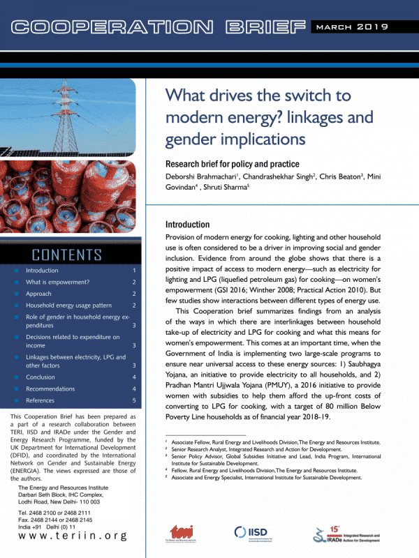 What drives the switch to modern energy? Linkages and gender implications