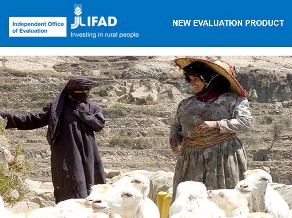 What works for gender equality and women’s empowerment – a review of practices and results – LEARNING BRIEF