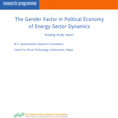 The Gender Factor in Political Economy of Energy Sector Dynamics – Scoping study report