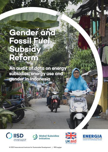 Gender and Fossil Fuel Subsidy  Reform: An audit of data on energy subsidies, energy use and  gender in Indonesia
