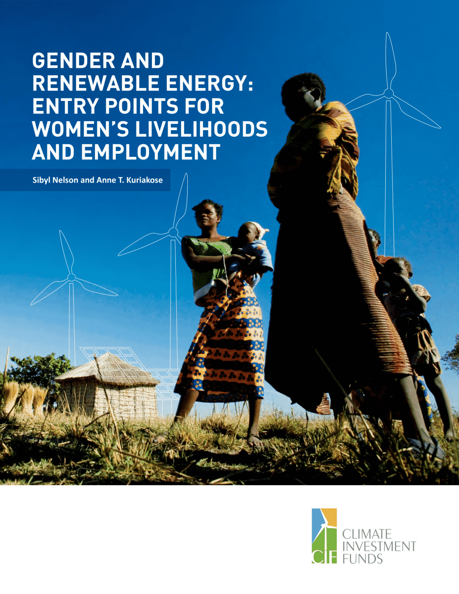 Gender and Renewable Energy: Entry points for women’s livelihoods and employment