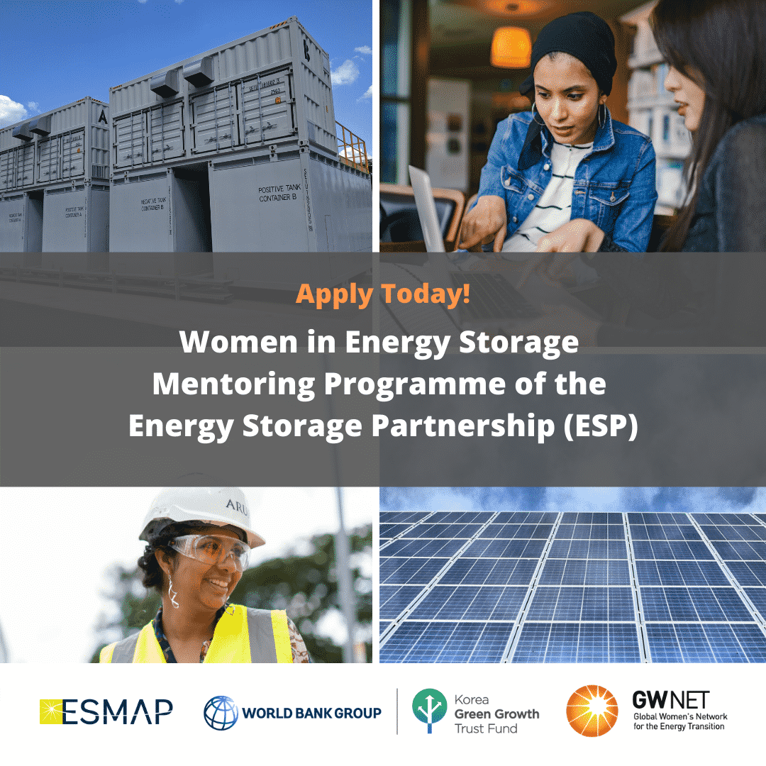Call for Applications: Women in Energy Storage Mentoring Programme of the Energy Storage Partnership (ESP)