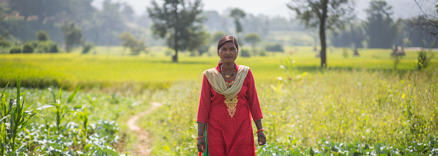 Call for Expressions of Interest on Gender and Energy Innovation – Introductory Webinar