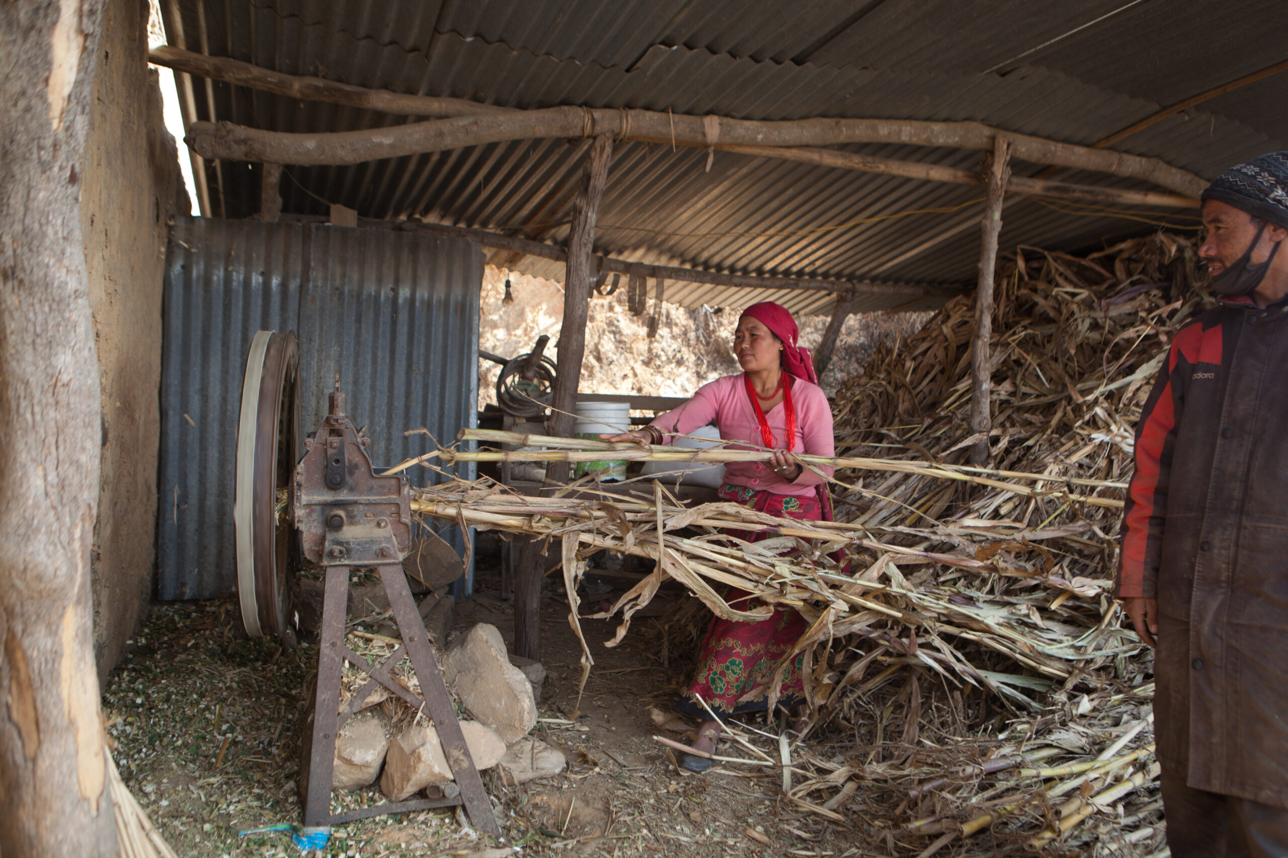 The blackbox of gender mainstreaming in the energy sector