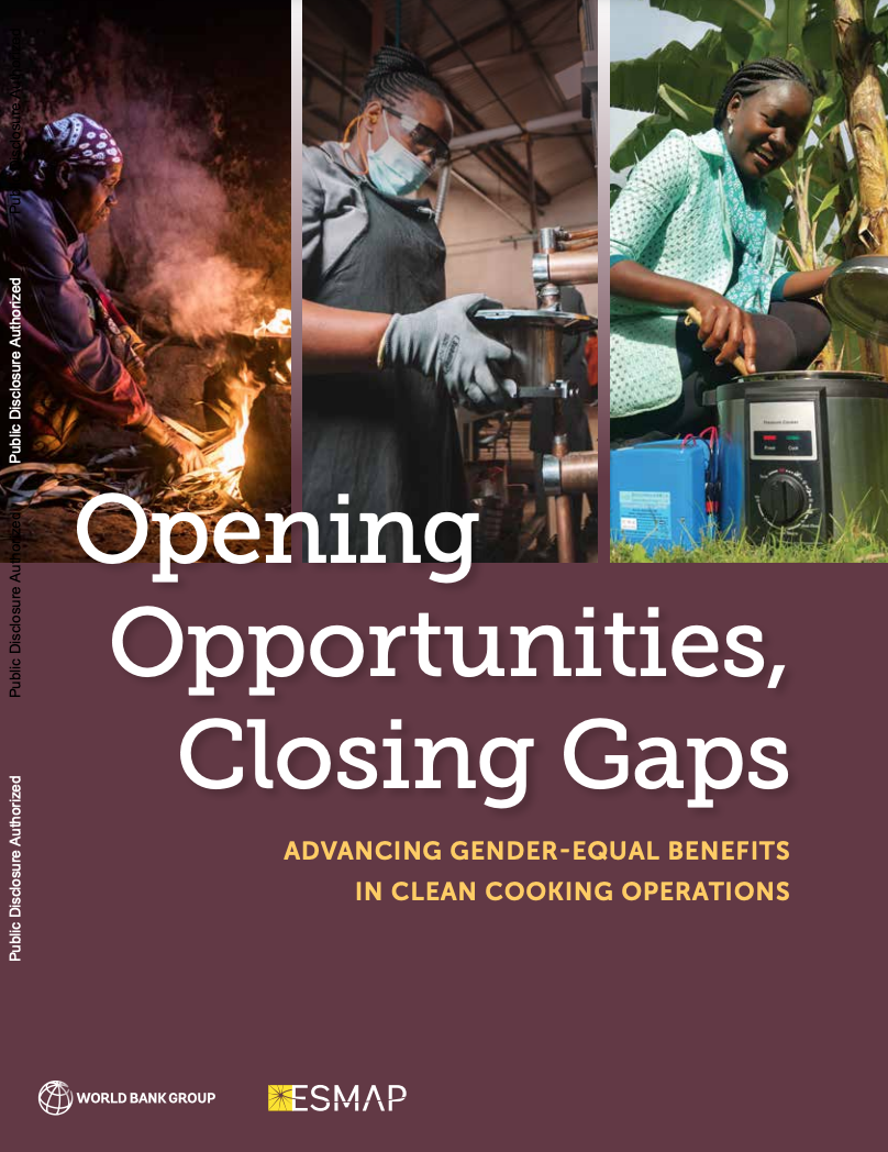 Opening Opportunities, Closing Gaps