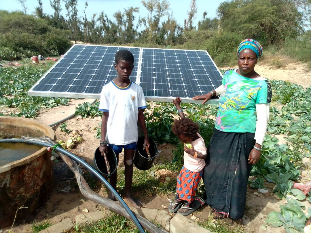 Aïssata Ba plans to overcome issues with farm labour by mechanising her irrigation system