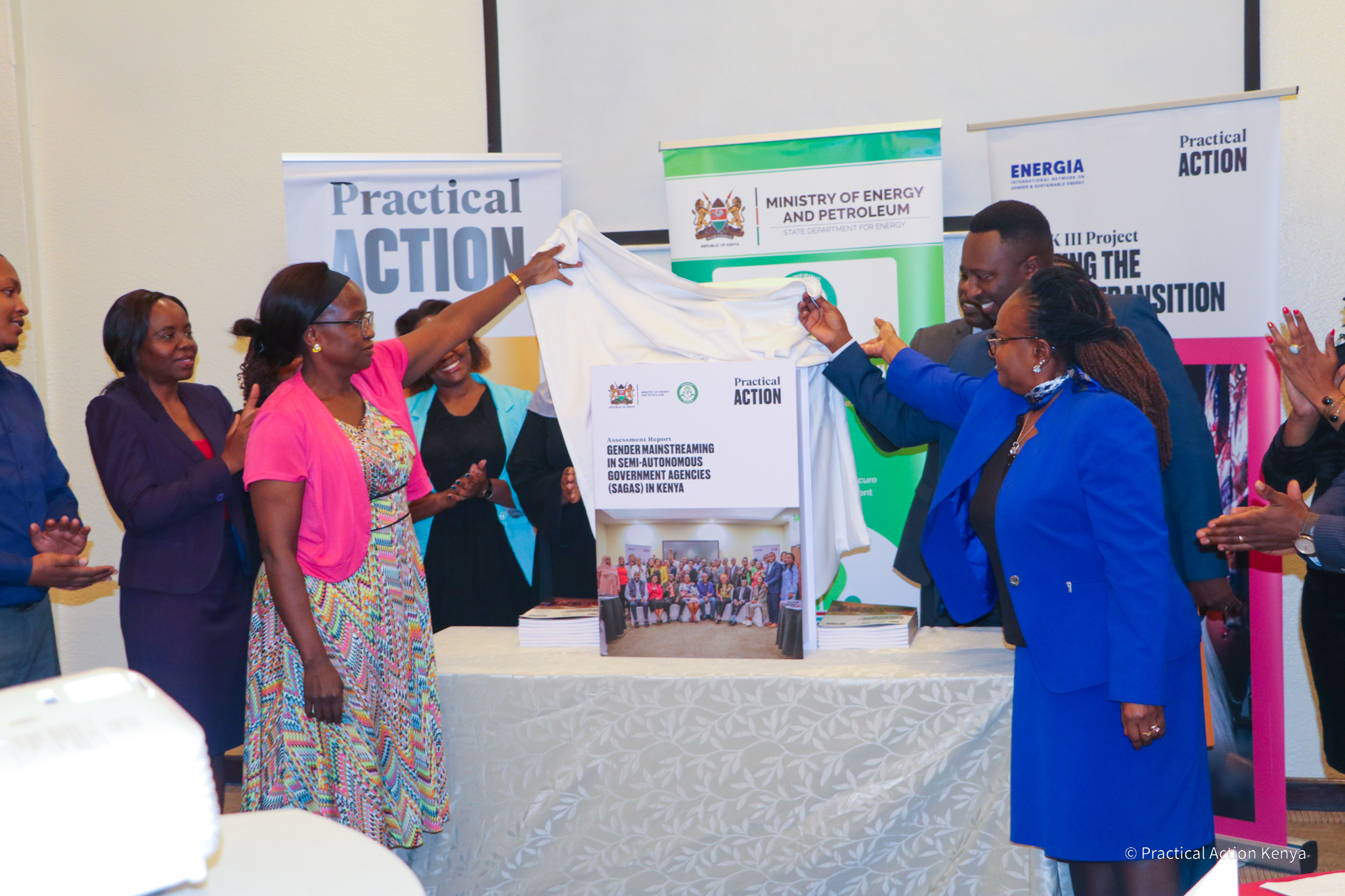 Gender Assessment in the Energy Semi-Autonomous Government Agencies